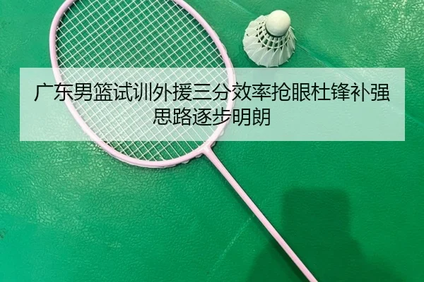 广东男篮试训外援三分效率抢眼杜锋补强思路逐步明朗